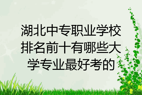 湖北中专职业学校排名前十有哪些大学专业最好考的