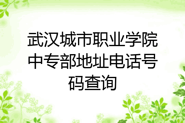 武汉城市职业学院中专部地址电话号码查询