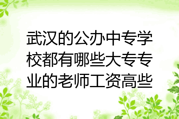 武汉的公办中专学校都有哪些大专专业的老师工资高些