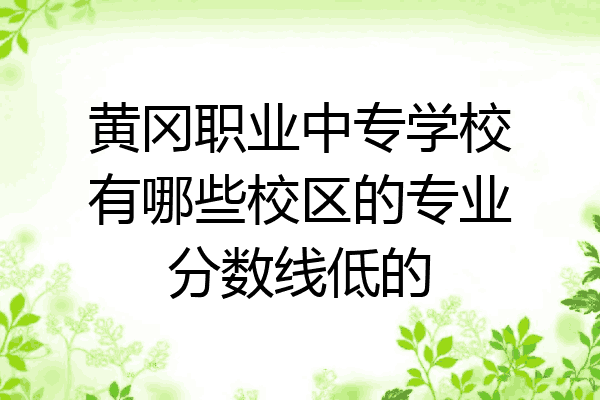黄冈职业中专学校有哪些校区的专业分数线低的
