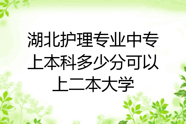 湖北护理专业中专上本科多少分可以上二本大学