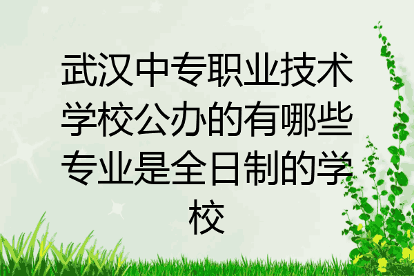 武汉中专职业技术学校公办的有哪些专业是全日制的学校