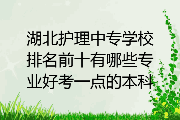 湖北护理中专学校排名前十有哪些专业好考一点的本科