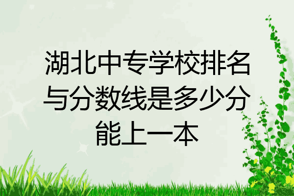 湖北中专学校排名与分数线是多少分能上一本