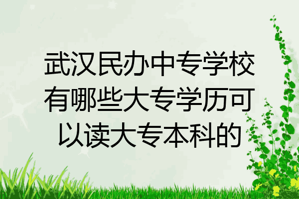 武汉民办中专学校有哪些大专学历可以读大专本科的