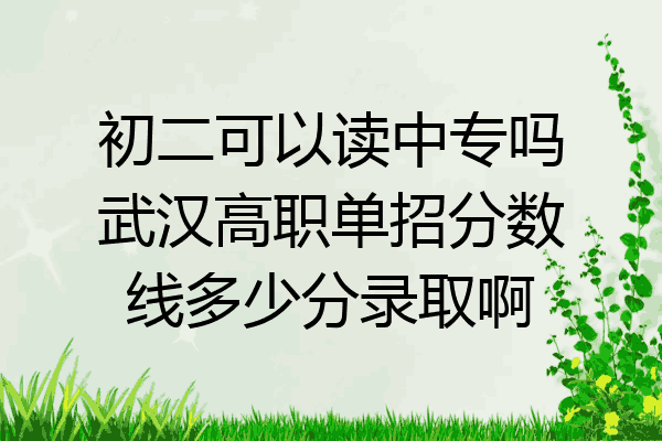 初二可以读中专吗武汉高职单招分数线多少分录取啊