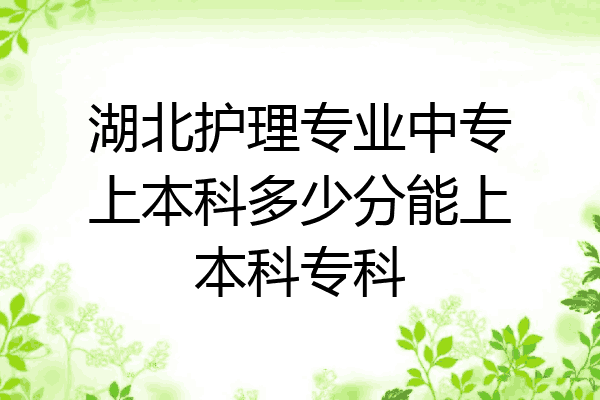 湖北护理专业中专上本科多少分能上本科专科
