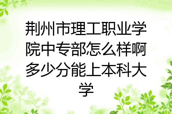 荆州市理工职业学院中专部怎么样啊多少分能上本科大学