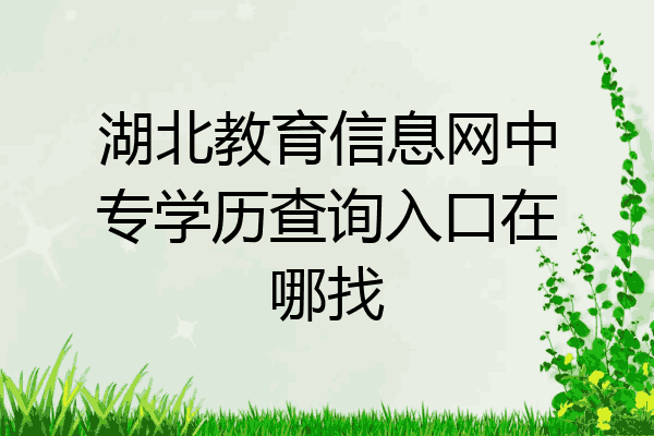 湖北教育信息网中专学历查询入口在哪找