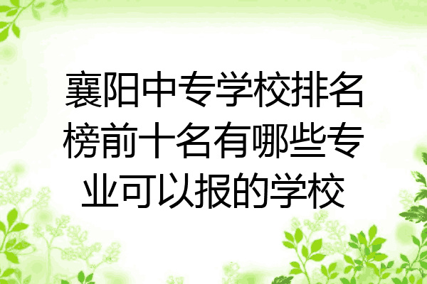襄阳中专学校排名榜前十名有哪些专业可以报的学校