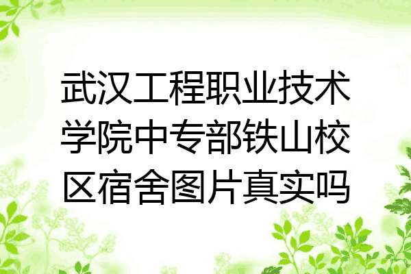 武汉工程职业技术学院中专部铁山校区宿舍图片真实吗