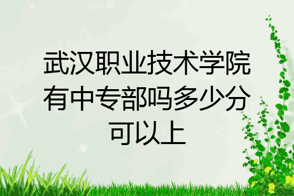 武汉职业技术学院有中专部吗多少分可以上