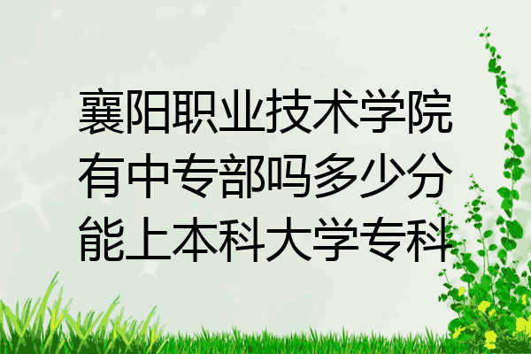 襄阳职业技术学院有中专部吗多少分能上本科大学专科