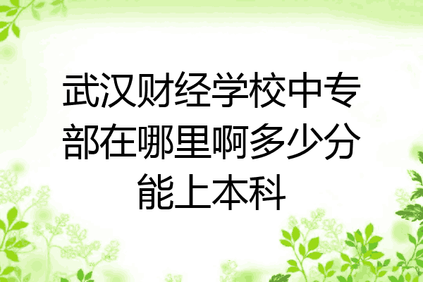 武汉财经学校中专部在哪里啊多少分能上本科