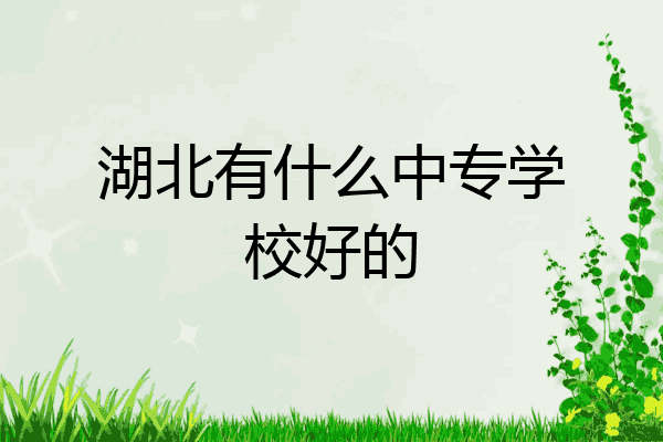 湖北有什么中专学校好的