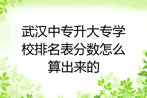 武汉中专升大专学校排名表分数怎么算出来的