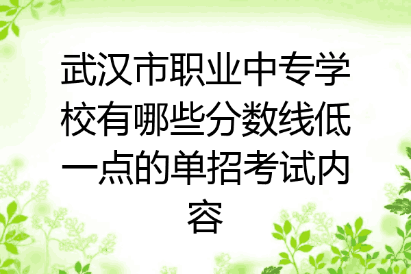 武汉市职业中专学校有哪些分数线低一点的单招考试内容