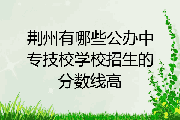 荆州有哪些公办中专技校学校招生的分数线高