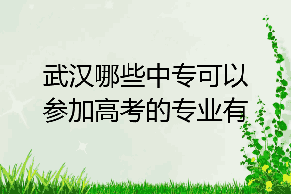武汉哪些中专可以参加高考的专业有
