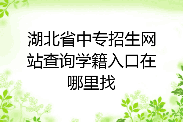 湖北省中专招生网站查询学籍入口在哪里找