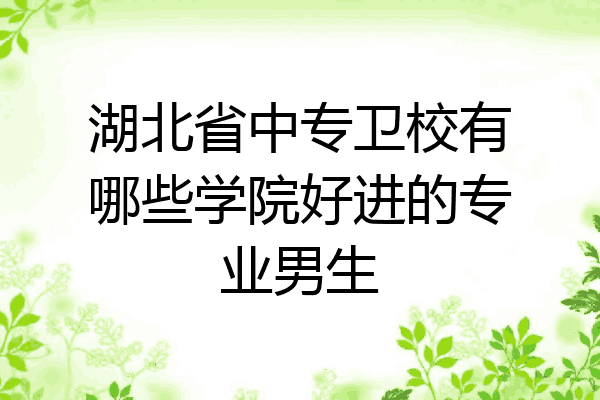 湖北省中专卫校有哪些学院好进的专业男生