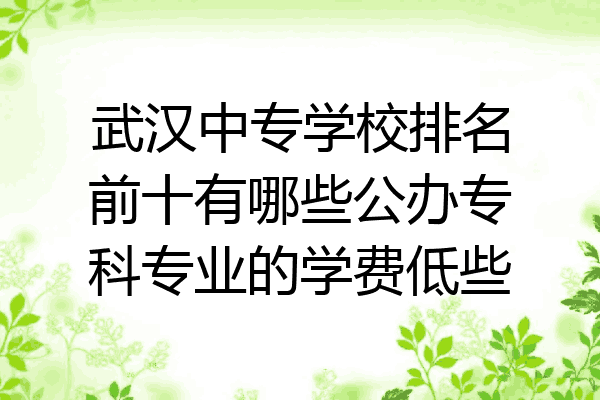 武汉中专学校排名前十有哪些公办专科专业的学费低些