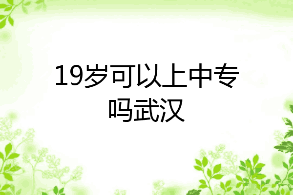 19岁可以上中专吗武汉
