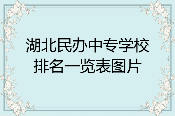 湖北民办中专学校排名一览表图片