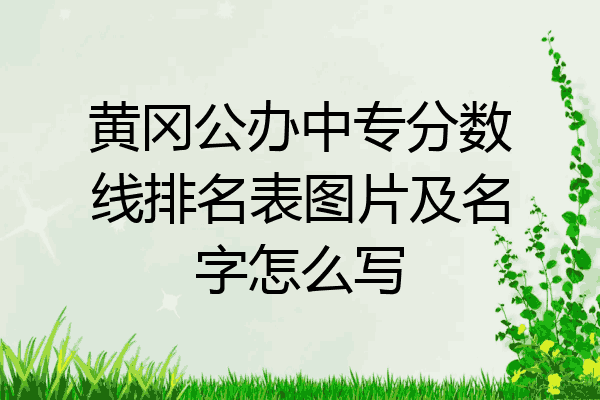 黄冈公办中专分数线排名表图片及名字怎么写