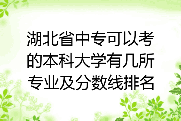 湖北省中专可以考的本科大学有几所专业及分数线排名