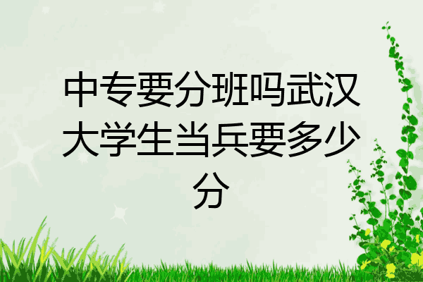 中专要分班吗武汉大学生当兵要多少分