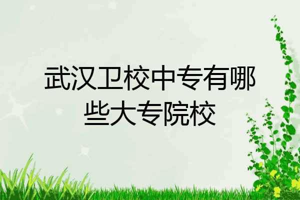 武汉卫校中专有哪些大专院校