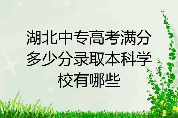 湖北中专高考满分多少分录取本科学校有哪些