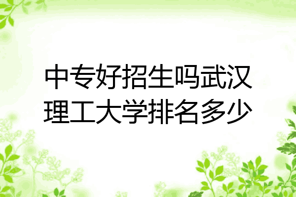 中专好招生吗武汉理工大学排名多少