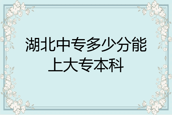 湖北中专多少分能上大专本科