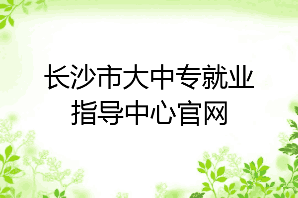 长沙市大中专就业指导中心官网