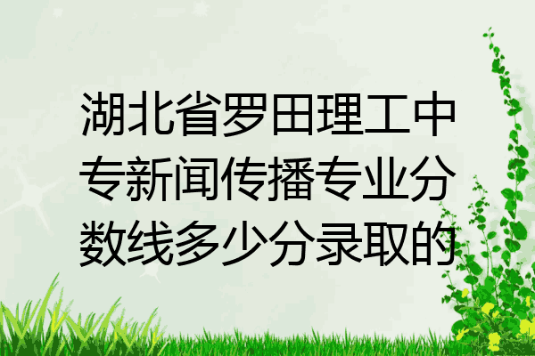 湖北省罗田理工中专新闻传播专业分数线多少分录取的