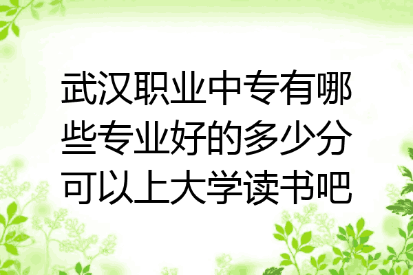 武汉职业中专有哪些专业好的多少分可以上大学读书吧