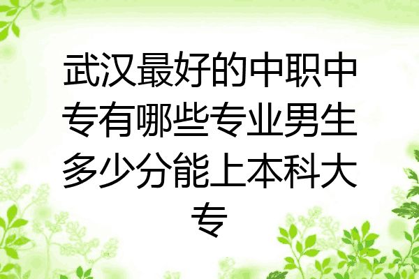 武汉最好的中职中专有哪些专业男生多少分能上本科大专