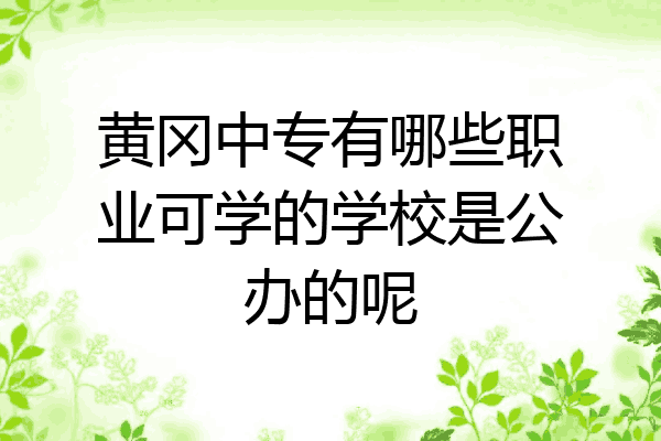 黄冈中专有哪些职业可学的学校是公办的呢