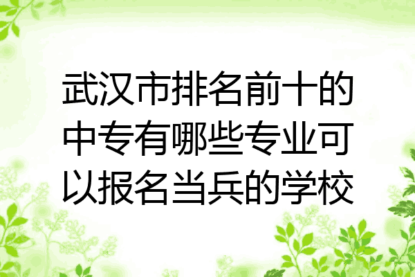 武汉市排名前十的中专有哪些专业可以报名当兵的学校