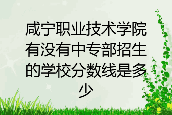 咸宁职业技术学院有没有中专部招生的学校分数线是多少