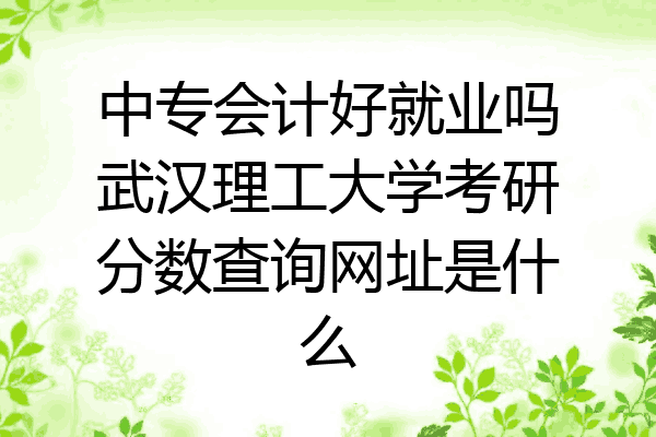 中专会计好就业吗武汉理工大学考研分数查询网址是什么