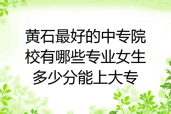 黄石最好的中专院校有哪些专业女生多少分能上大专
