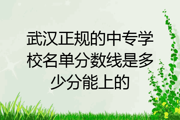 武汉正规的中专学校名单分数线是多少分能上的