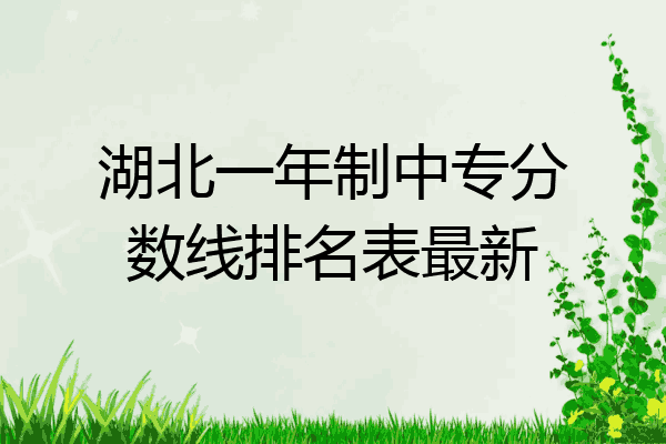 湖北一年制中专分数线排名表最新