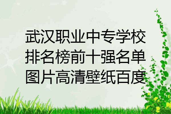 武汉职业中专学校排名榜前十强名单图片高清壁纸百度