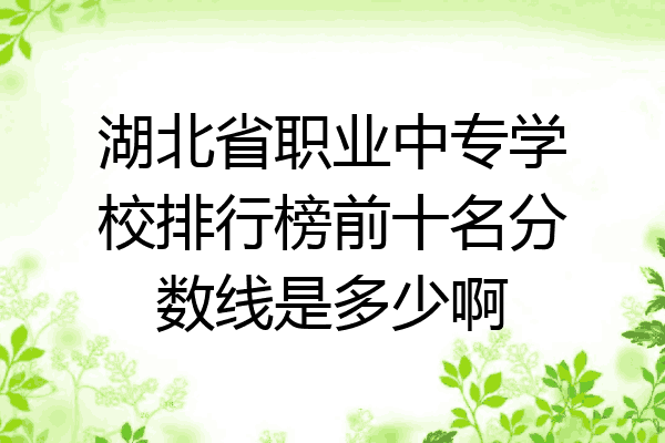 湖北省职业中专学校排行榜前十名分数线是多少啊