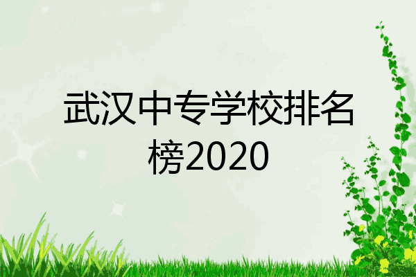 武汉中专学校排名榜2020