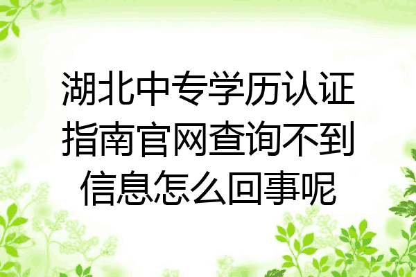 湖北中专学历认证指南官网查询不到信息怎么回事呢